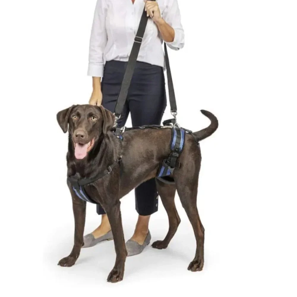 PetSafe Carelift Dog Support Harness New Large